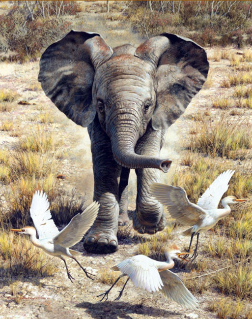 Carl Brenders - Flushing Egrets - Baby Elephants - Limited Edition Lithograph