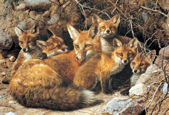 Carl Brenders - Full House Fox Family - Limited Edition Lithograph
