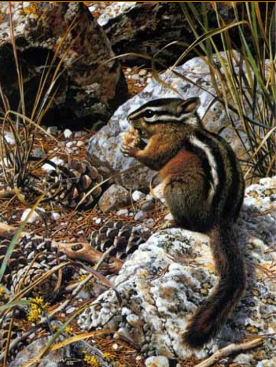 Carl Brenders - Harvest Time – Chipmunk - Limited Edition Lithograph