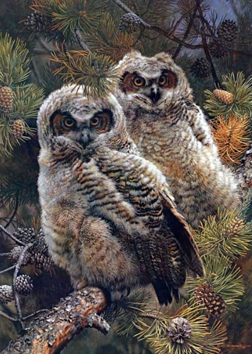Carl Brenders - Hidden in the Pines – Great Horned Owl - Limited Edition Lithograph