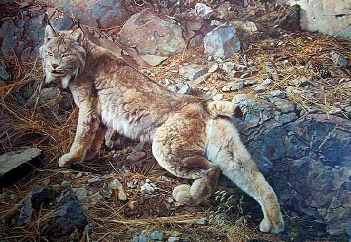 Carl Brenders - In Northern Hunting Grounds – Wolves - Limited Edition Lithograph