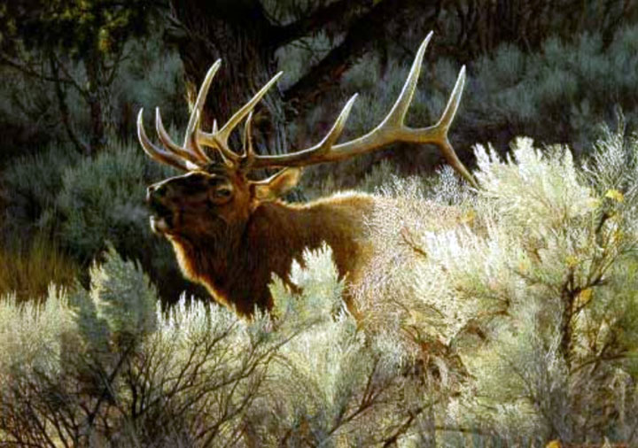 Carl Brenders - Indian Summer – Bugling Elk - Limited Edition Lithograph