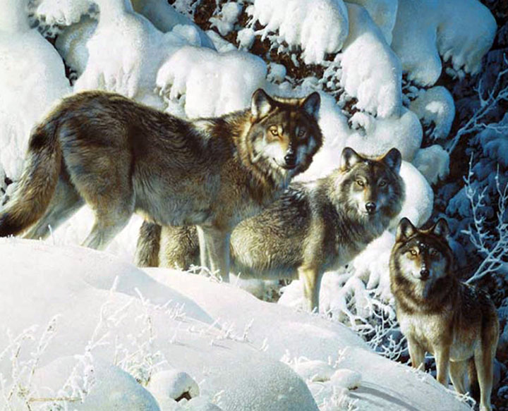 Carl Brenders - Long Distance Hunters – Wolf - Limited Edition Giclee on Canvas