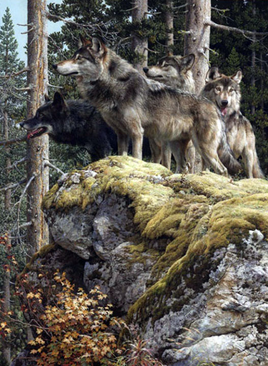 Carl Brenders - Lookout Tower – Wolves - Limited Edition Lithograph