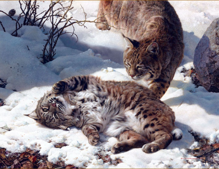 Carl Brenders - Love Is in the Air - Limited Edition Lithograph