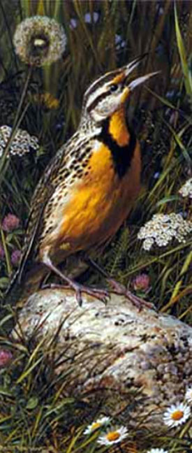 Carl Brenders - Meadowlark - Limited Edition Lithograph