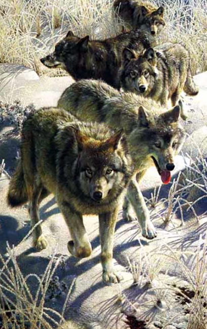 Carl Brenders - Miles to Go – Wolves - Limited Edition Lithograph