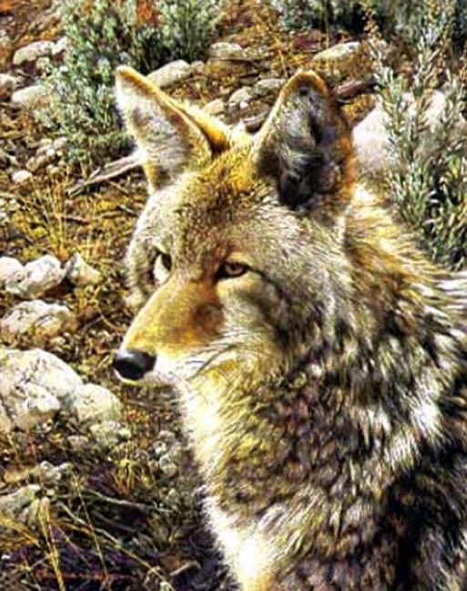 Carl Brenders - Natural Survivor - Limited Edition Lithograph