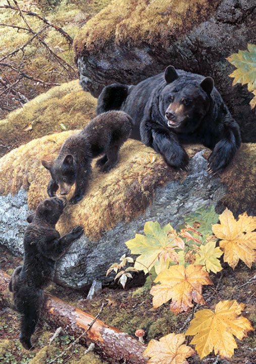 Carl Brenders - Nosing Around – Bear Cubs - Limited Edition Lithograph