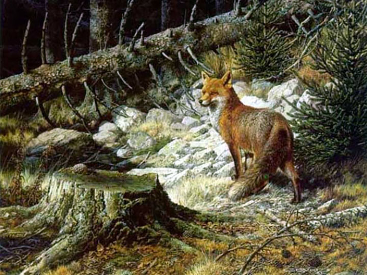 Carl Brenders - On the Alert – Red Fox - Limited Edition Lithograph