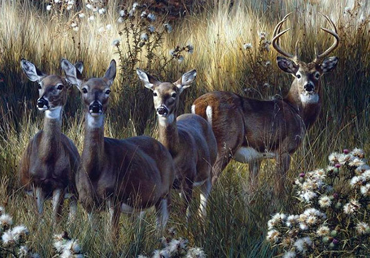 Carl Brenders - Power and Grace - Limited Edition Giclee on Canvas