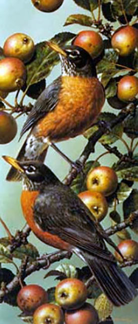 Carl Brenders - Robins - Limited Edition Lithograph