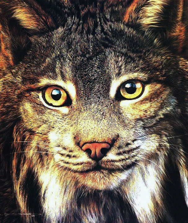 Carl Brenders - Spellbound - Limited Edition Lithograph