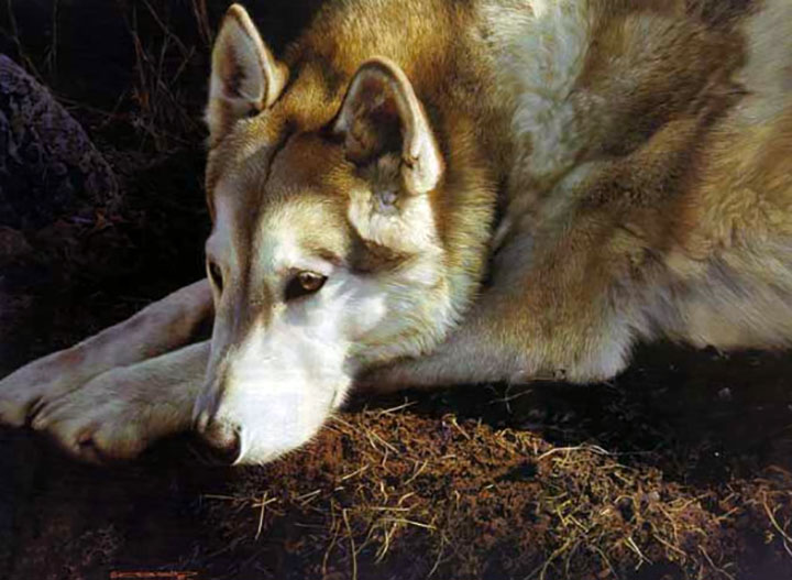 Carl Brenders - The Loner - Limited Edition Lithograph