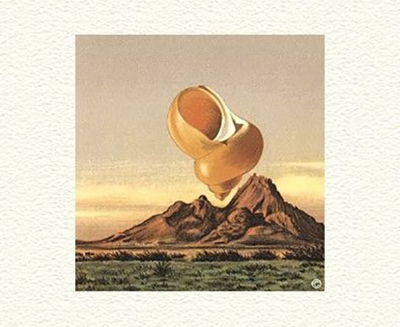 Fanny Brennan - Orange Shell - Limited Edition Lithograph
