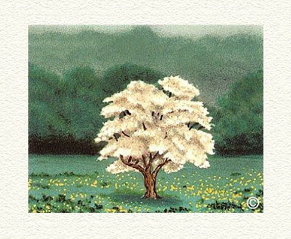 Fanny Brennan - Solo - Limited Edition Lithograph