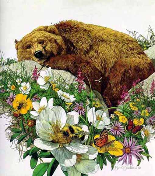 Bev Doolittle - Bugged Bear - Limited Edition Lithograph