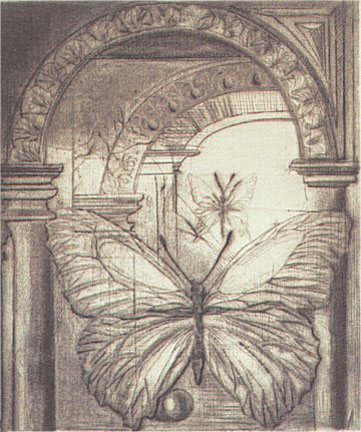 GH Rothe - Butterflies - Limited Edition Mezzotint