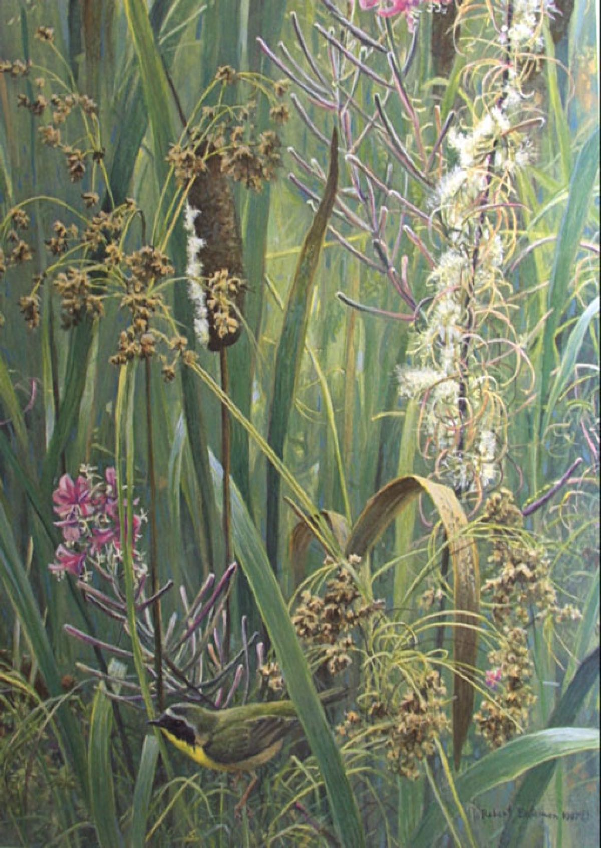 Robert Bateman - Cattail, Fireweed and Yellowthroat - Limited Edition Lithograph