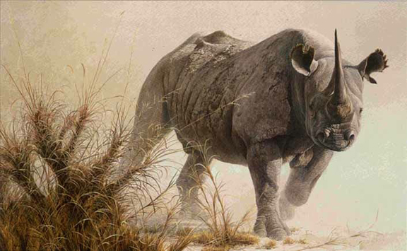 Robert Bateman - Charging Rhino - Limited Edition Lithograph