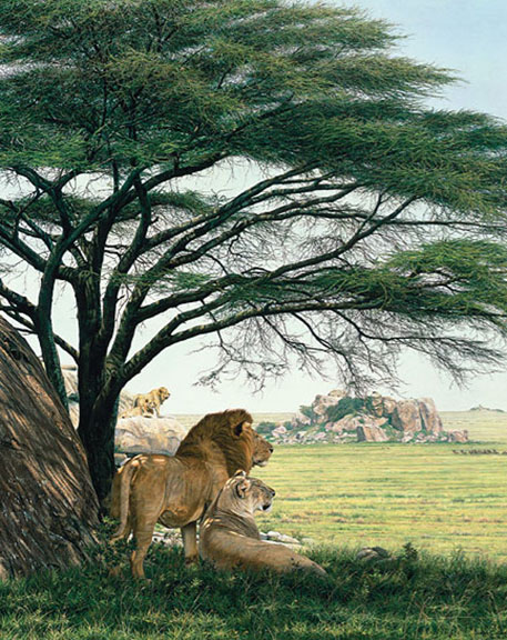 Simon Combes - African Experience - Limited Edition Giclee on Canvas