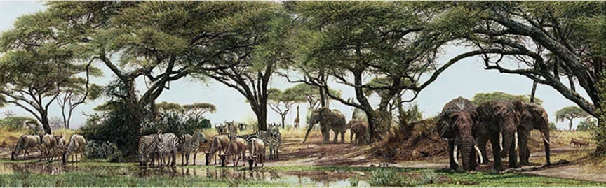 Simon Combes - African Oasis - Limited Edition Offset Lithograph