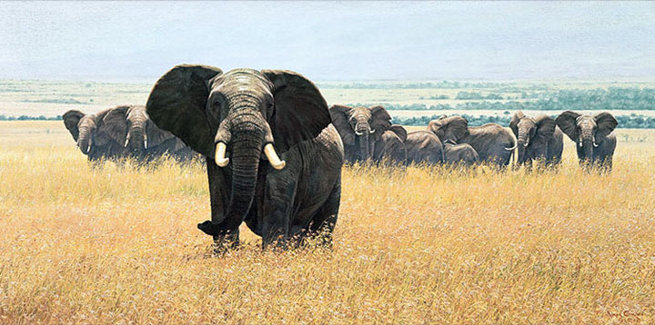 Simon Combes - Confrontation - Limited Edition Giclee