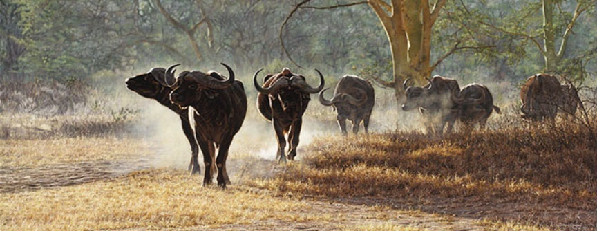 Simon Combes - Drought, Dust and Danger - Limited Edition Giclee on Canvas