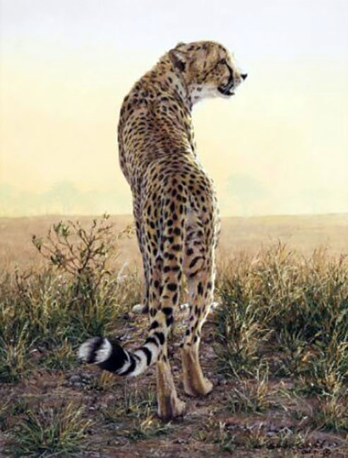 Simon Combes - First Light - Limited Edition Giclee on Canvas