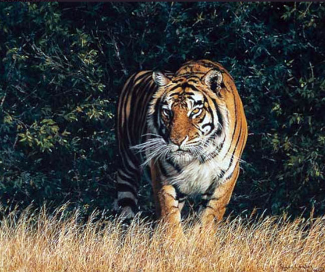 Simon Combes - From the Shadows - Limited Edition Fine Art on Canvas