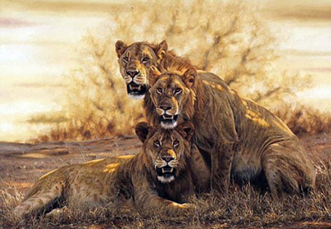 Simon Combes - Hot Lions - Limited Edition Offset Lithograph