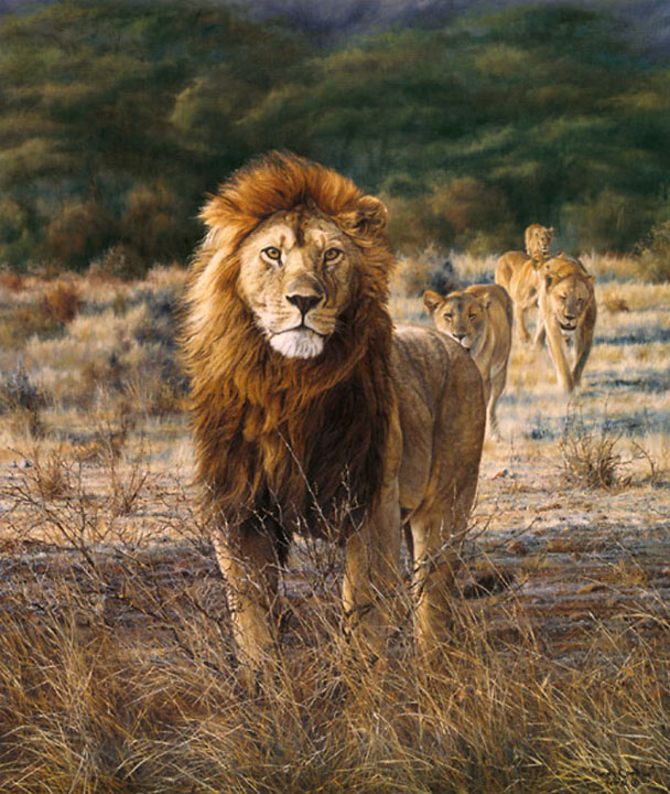 Simon Combes - In His Prime - Limited Edition Giclee on Canvas
