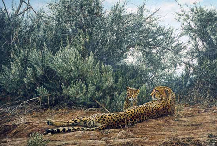 Simon Combes - Interlude - Limited Edition Offset Lithograph