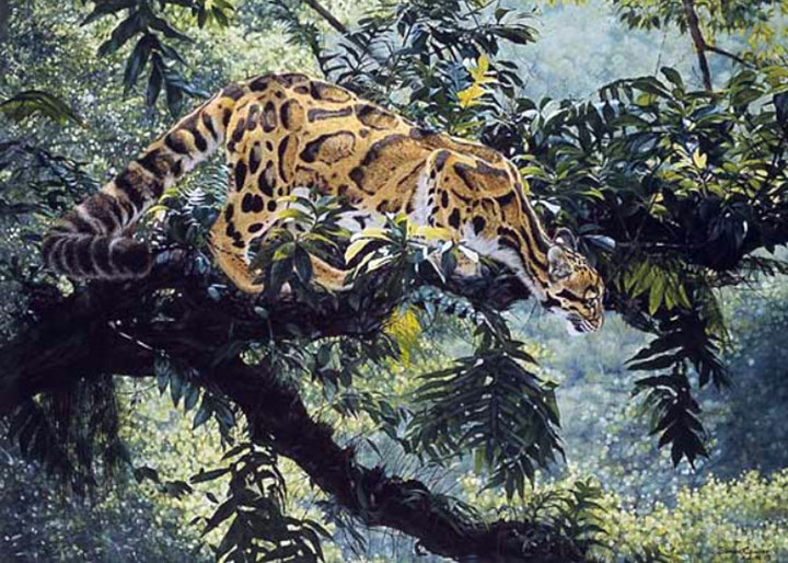 Simon Combes - Jungle Phantom - Limited Edition Offset Lithograph