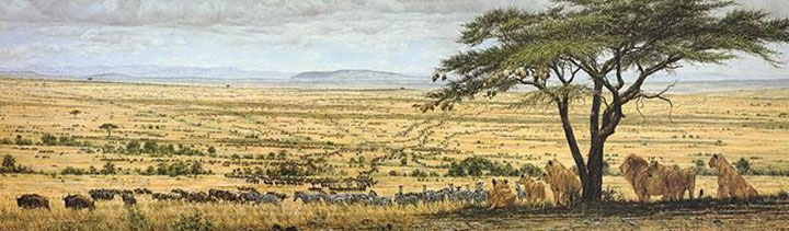 Simon Combes - Wildebeest Migration - Limited Edition Lithograph
