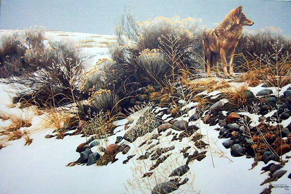 Robert Bateman - Coyote in Winter Sage - Limited Edition Giclee on Canvas