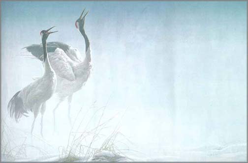 Robert Bateman - Cries of Courtship - Red-Crowned Crane - Limited Edition Lithograph
