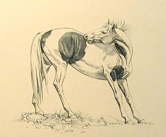 Bev Doolittle - Reach for Relief - Limited Edition Stone Lithograph