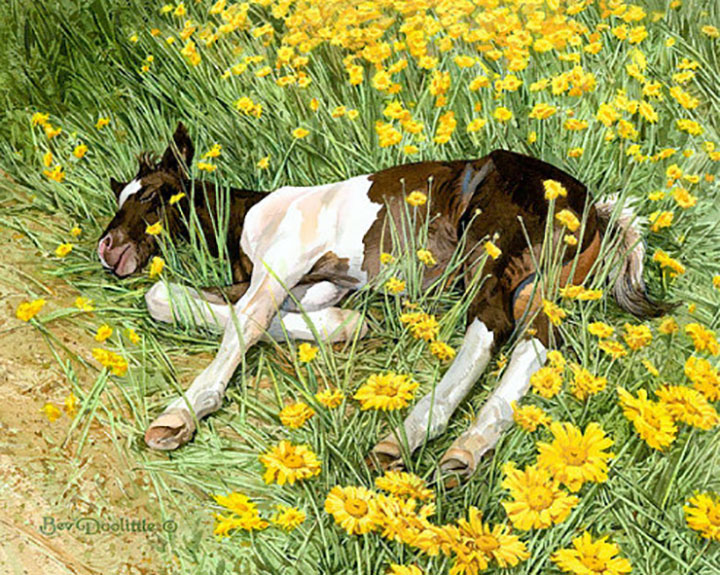 Bev Doolittle - Spring Break - Limited Edition Giclee