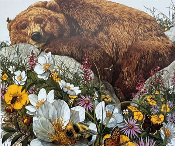 Bev Doolittle - The Bugged Bear - Limited Edition Lithograph