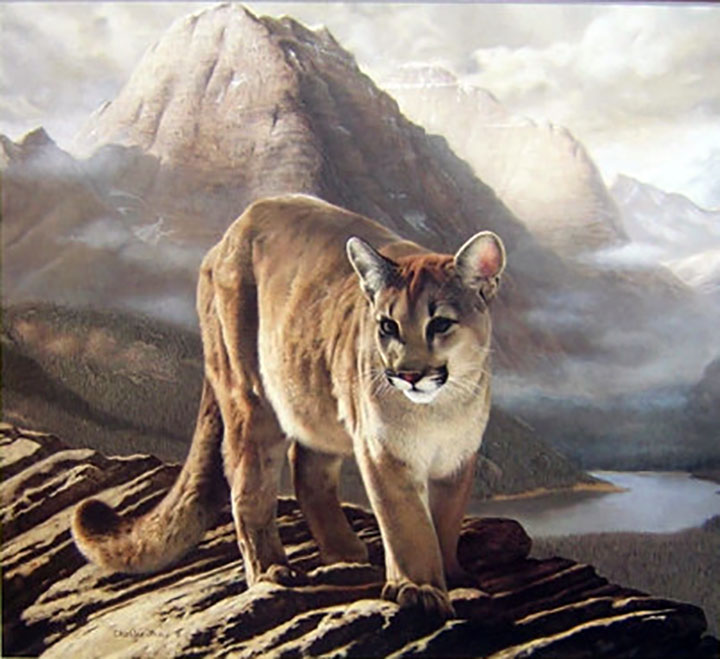 Charles Frace - Cougar (Spirit of the Outlands) - Limited Edition Lithograph