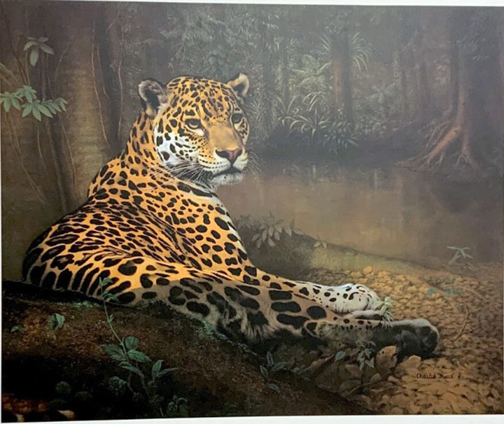 Charles Frace - Jaguar - Limited Edition Lithograph