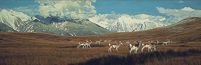 Rod Frederick - Early Evening Gathering - Limited Edition Lithograph 