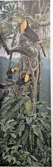 Rod Frederick - Los Colores de Chiapas - Limited Edition Lithograph 