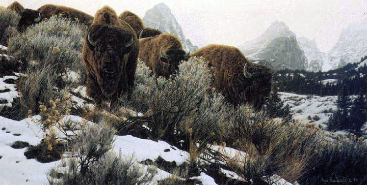 Rod Frederick - Mountain Echoes - Bison - Limited Edition Lithograph 