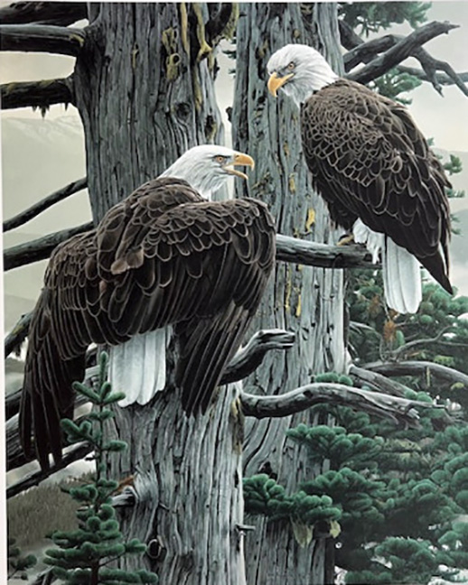 Rod Frederick - Nesting Call - Bald Eagles - Limited Edition Lithograph 