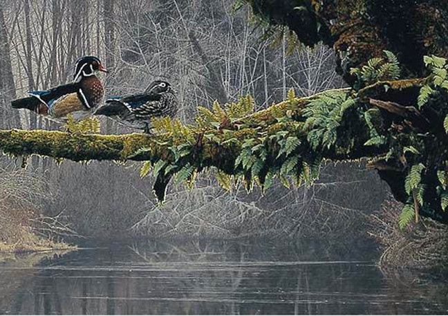 Rod Frederick - Out on a Limb - Limited Edition Lithograph 