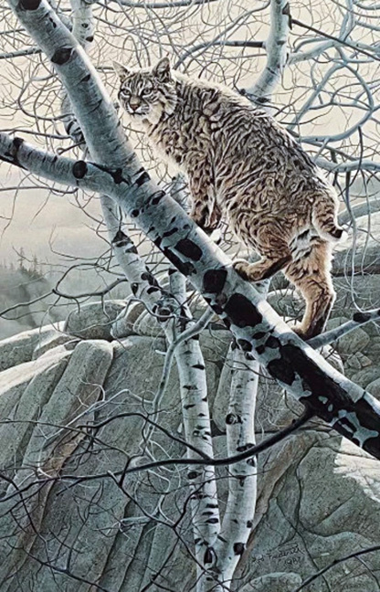 Rod Frederick - Rim Walk - Limited Edition Lithograph 