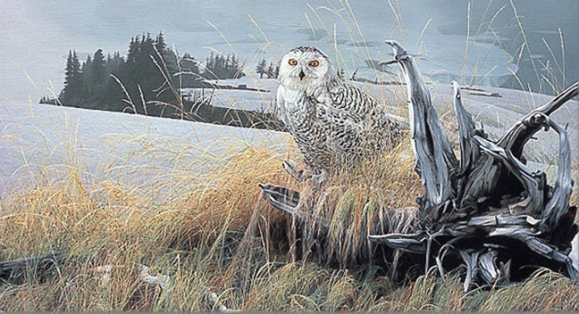 Rod Frederick - Tundra Watch - Limited Edition Lithograph 