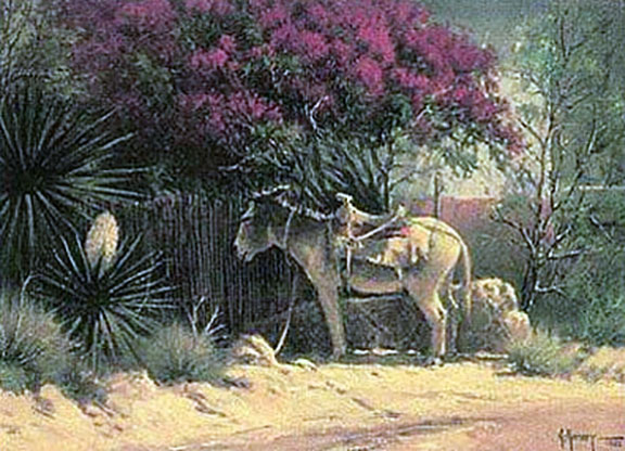 G Harvey - Flowers of Ixtapan - Limited Edition Lithograph